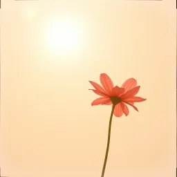 The Way You Smile