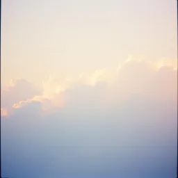Lost in the Blur