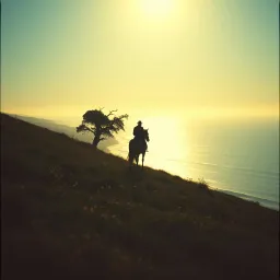 Beach trip