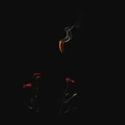 Eulogy for myself-