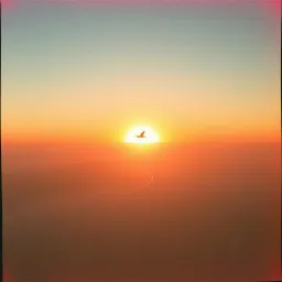Chasing Dawn