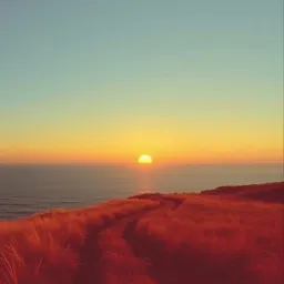 Wanderer's Melody