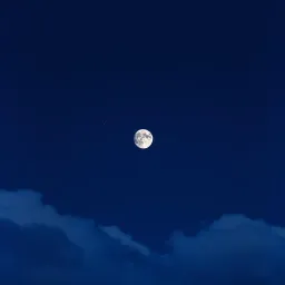 Dia pergi