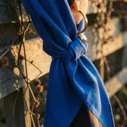 BLUE BANDANA