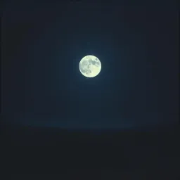 Sorrowful Night Without You