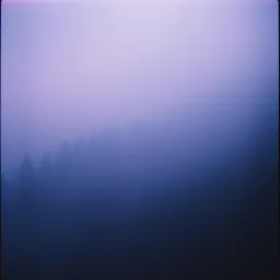 Lost in Shadows