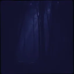 Voices in My Head