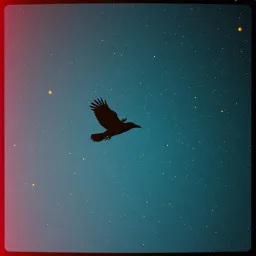 Black Raven